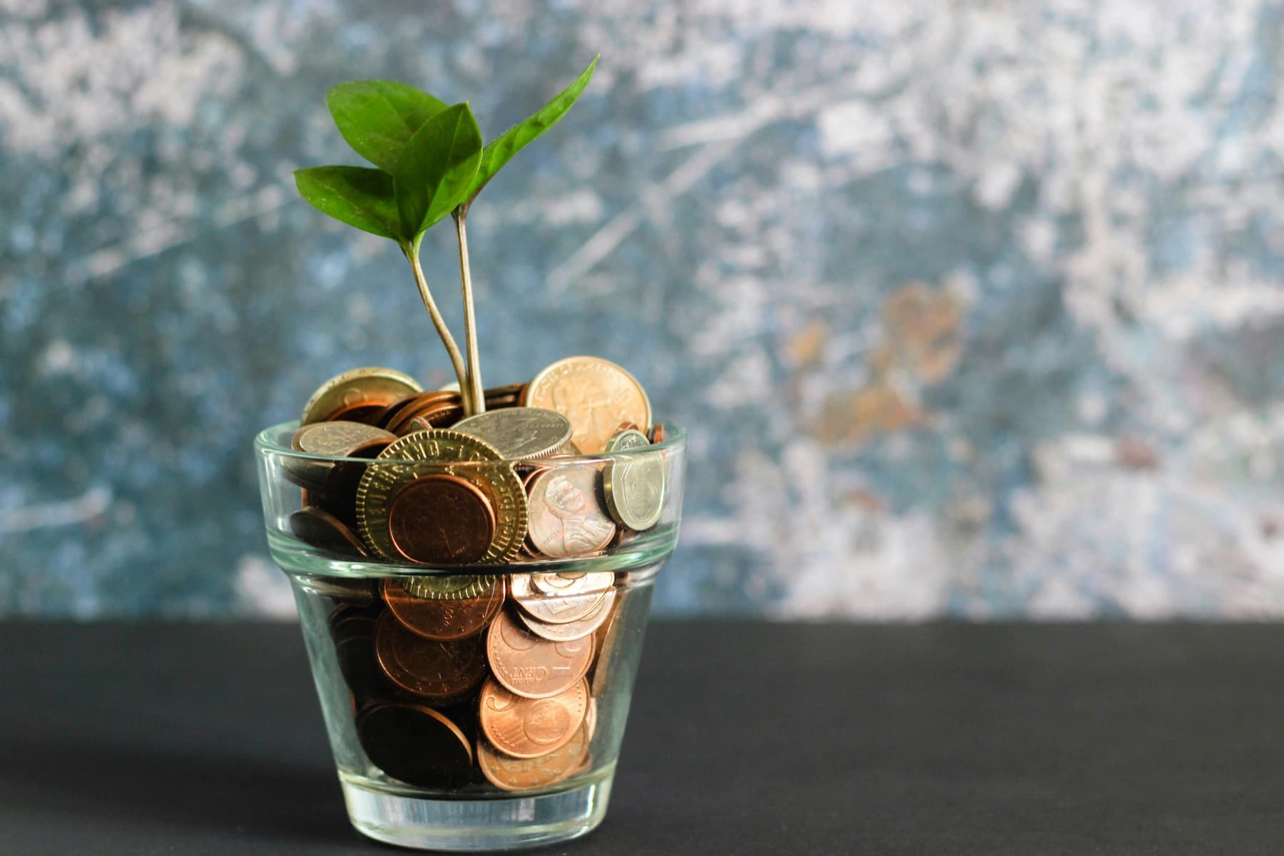 Nonprofit marketing with Minties credit system