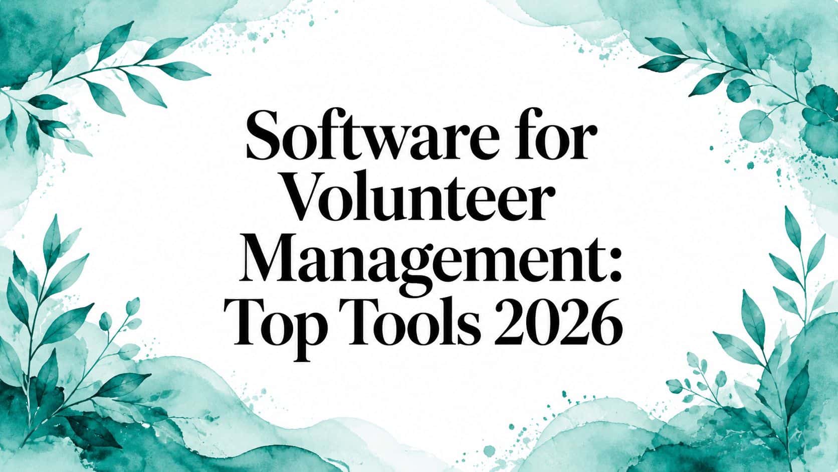 Software for Volunteer Management: 2026 Guide - Alignmint nonprofit software