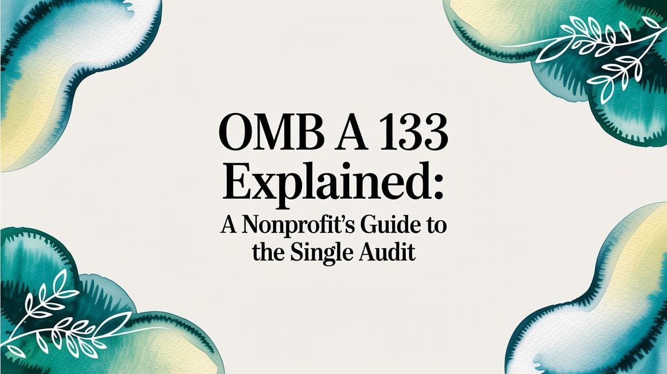 OMB A-133 Single Audit Guide for Nonprofits - Alignmint nonprofit software