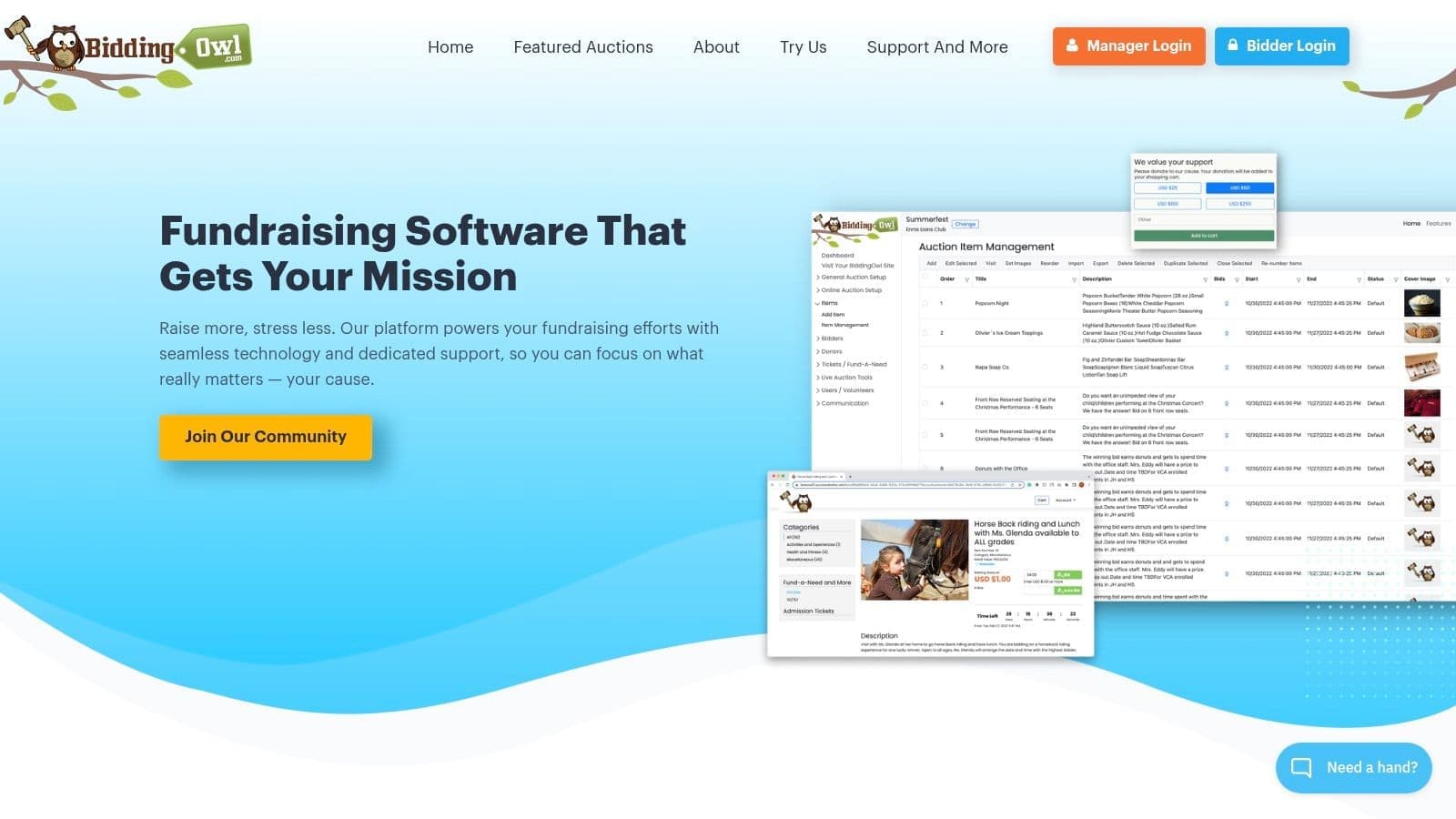 BiddingOwl online auction software interface for nonprofit fundraising events