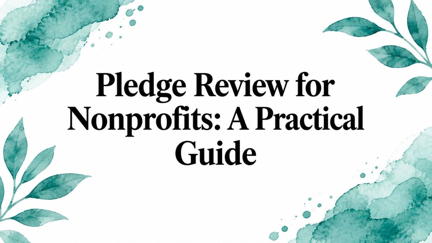Title card for a practical guide to nonprofit pledge review