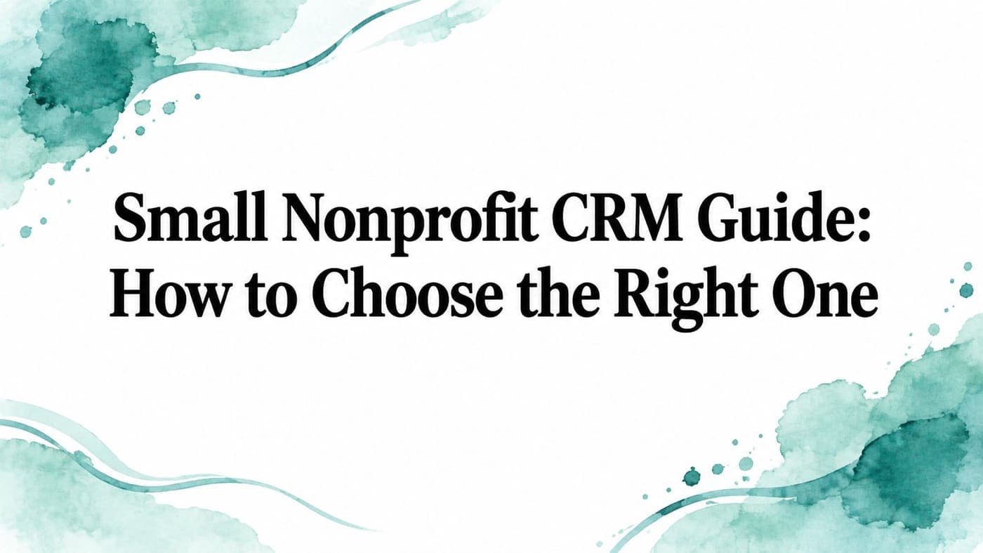 Small nonprofit director comparing CRM choices against scattered donor spreadsheets