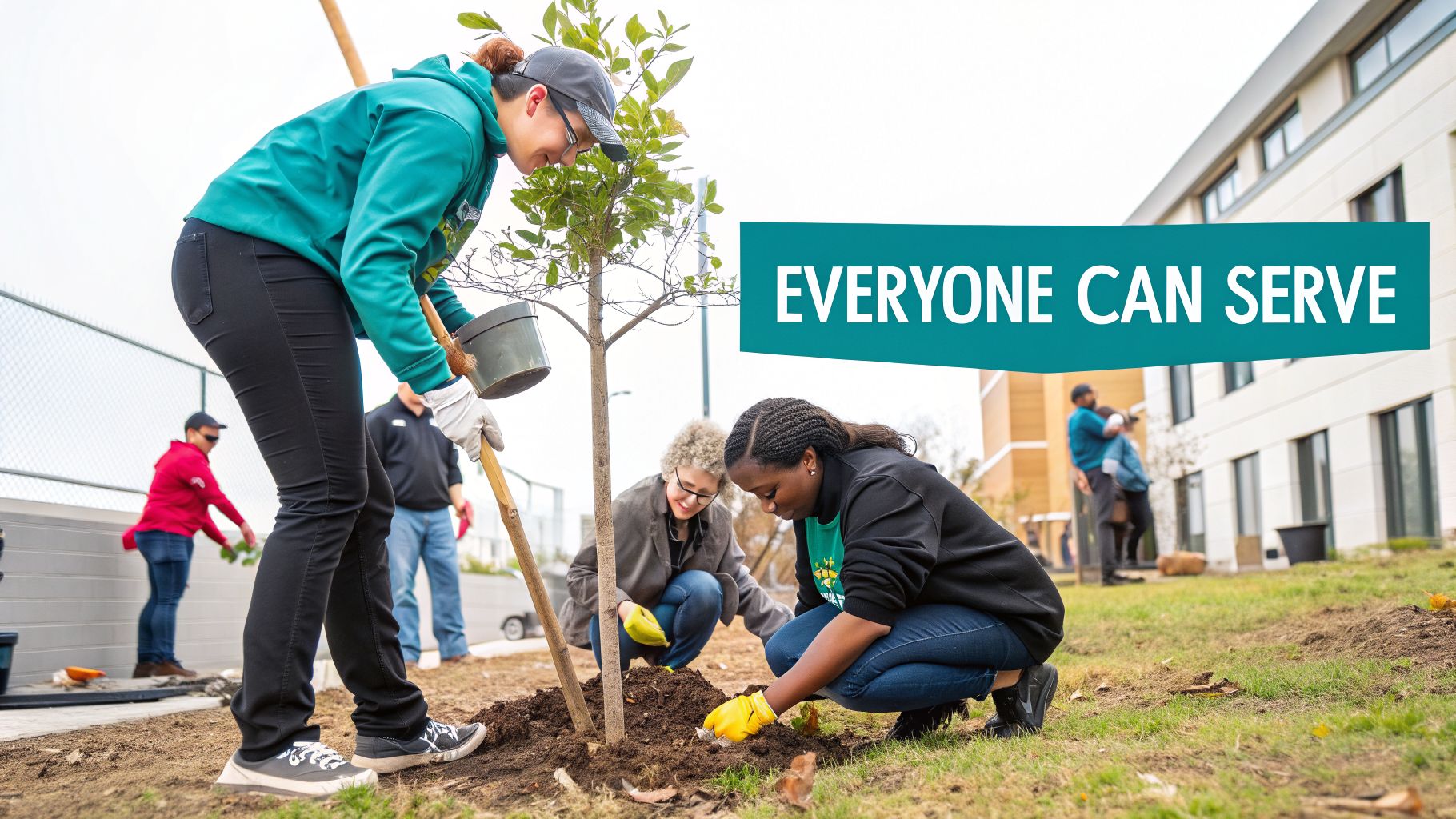 Diverse volunteers planting trees and shrubs in a green space, demonstrating community service.